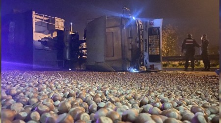 Yol fındık tarlasına döndü