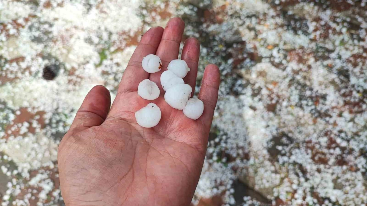 Yozgat'ta ceviz byklnde dolu yad