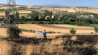 Yksek gerilim hatt koptu, buday tarlas alev ald