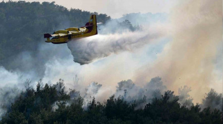 Yunanistan'daki yangınlarla bağlantılı 140 kişi gözaltına alındı