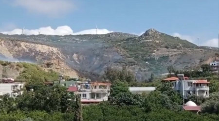 Zeytinlik alanda kan yangn korkuttu
