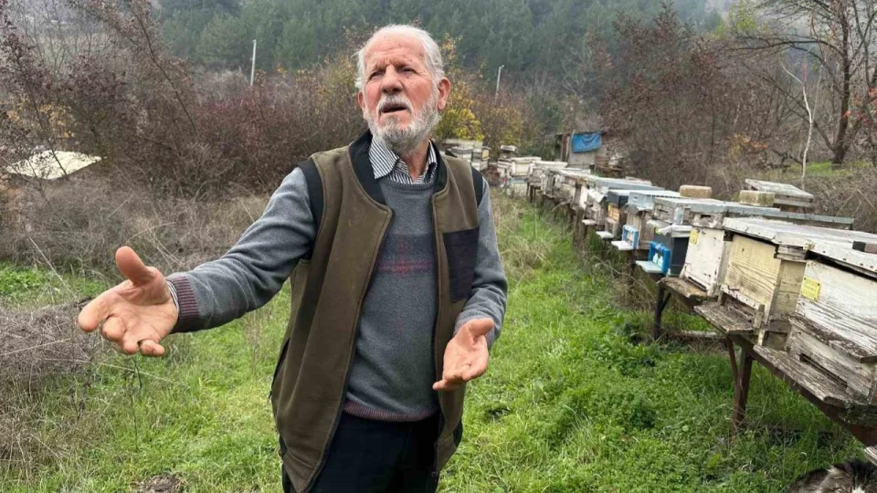 Zirai ila� y�z�nden milyonlarca ar�s� �ld�