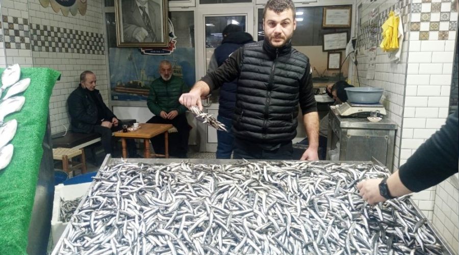Zonguldak'ta tezgahlar hamsilerle doldu