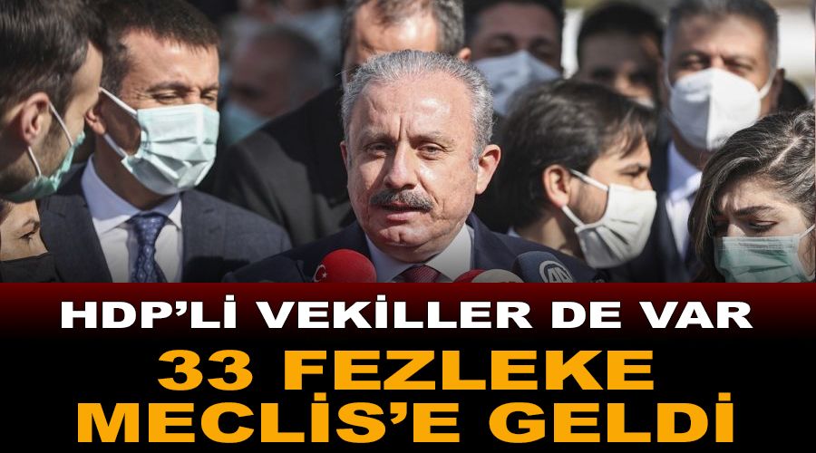 33 fezleke Meclis'e geldi