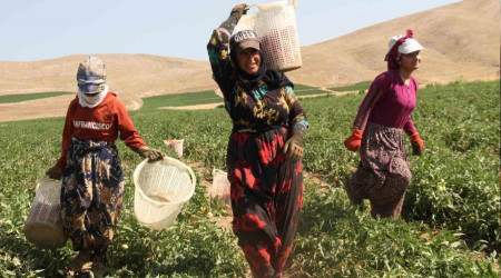 42 derecedeki bu emeğin karşılığı tam verilmelidir