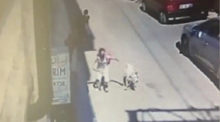 5 yaşındaki çocuğa ve kadına saldıran köpeğin sahibine hapis talebi