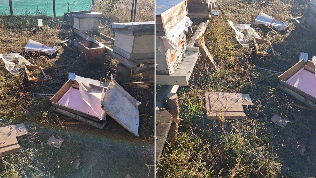 A kalan ay ar kovanlarn paralad