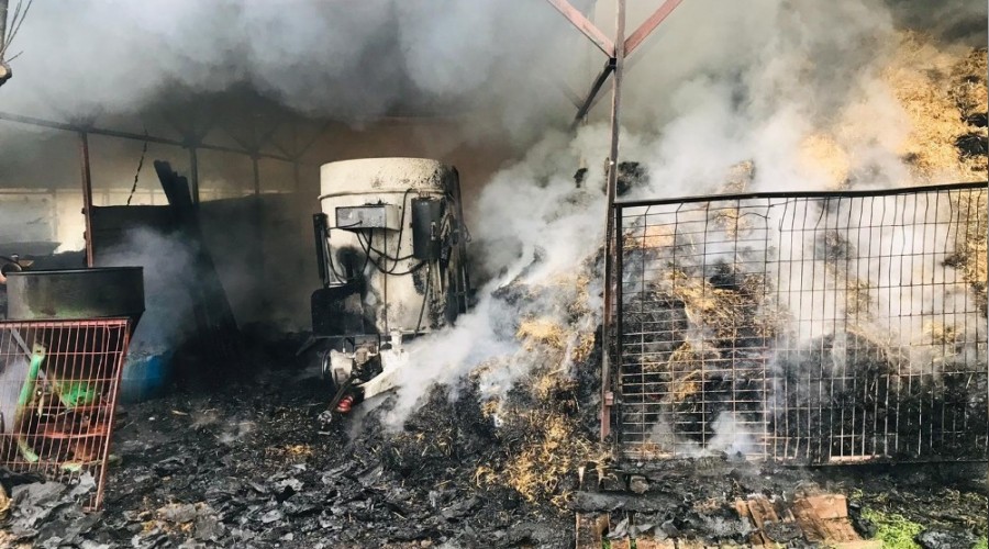 Ahır yandı, 12 ton buğday kül oldu