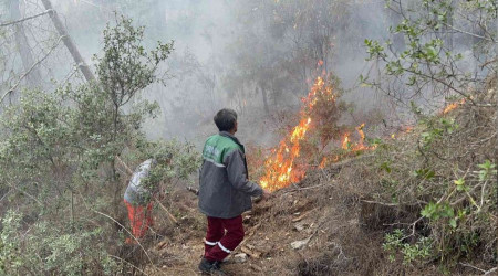 Alanya'da yaklaşık 10 dönüm zarar gördü