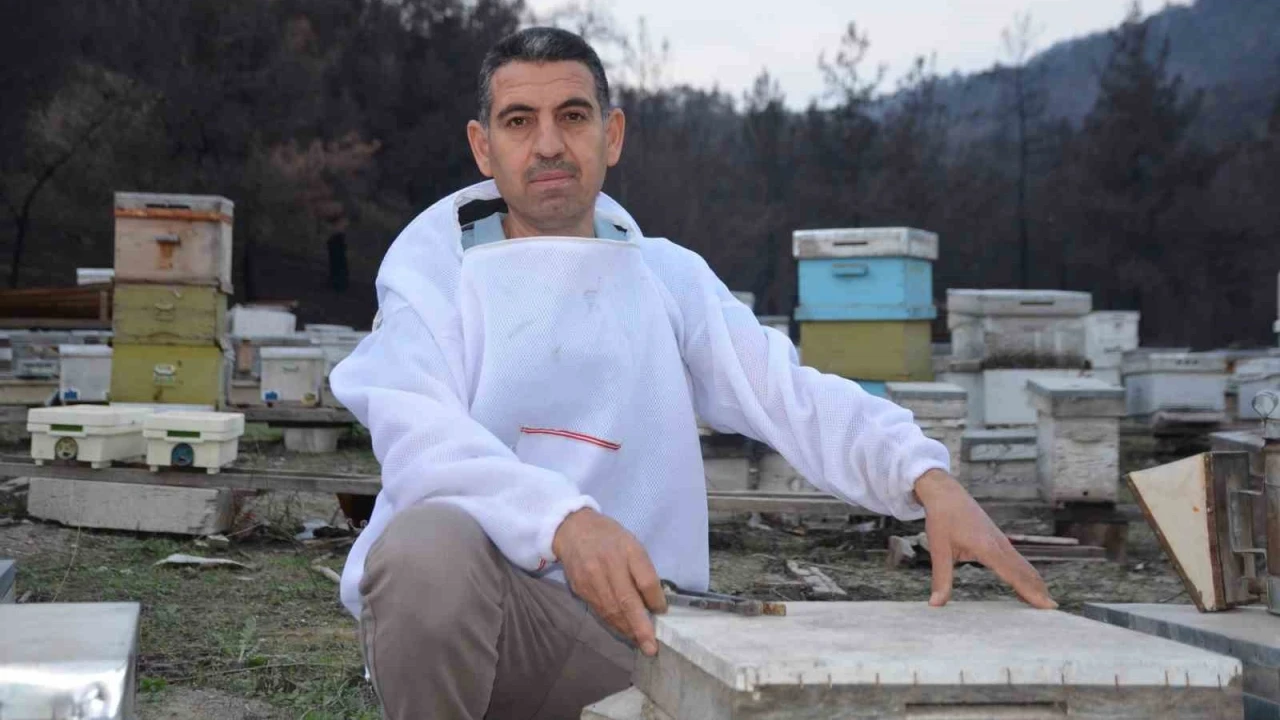 Ana arı üretiminde büyük başarı