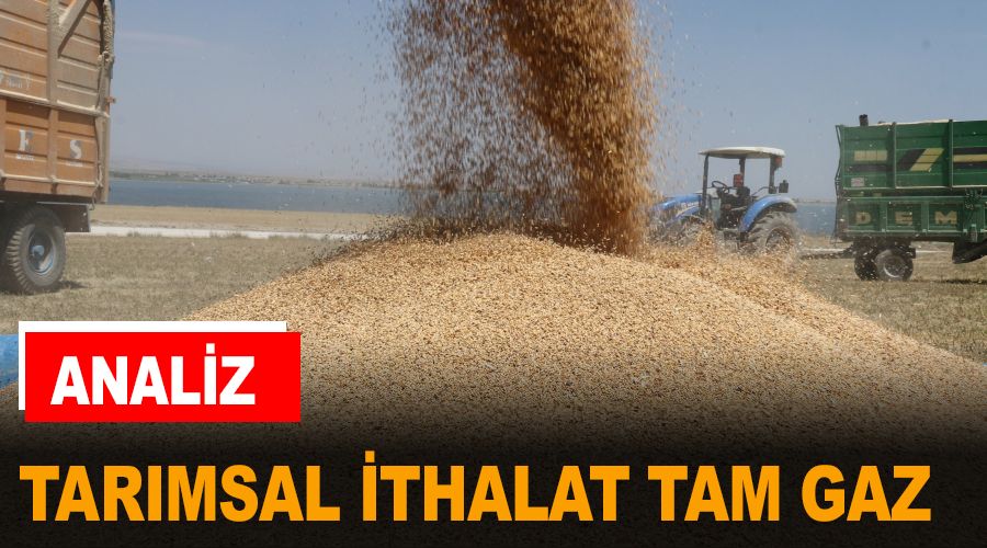 ANALİZ - Tarımsal ithalat tam gaz