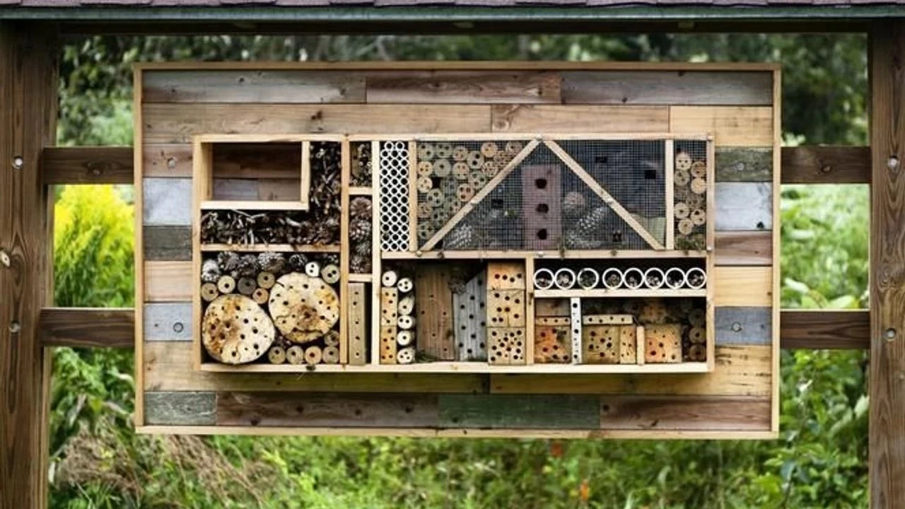 Arı otelleri: Kent tarımında polinatör dostu çözümler