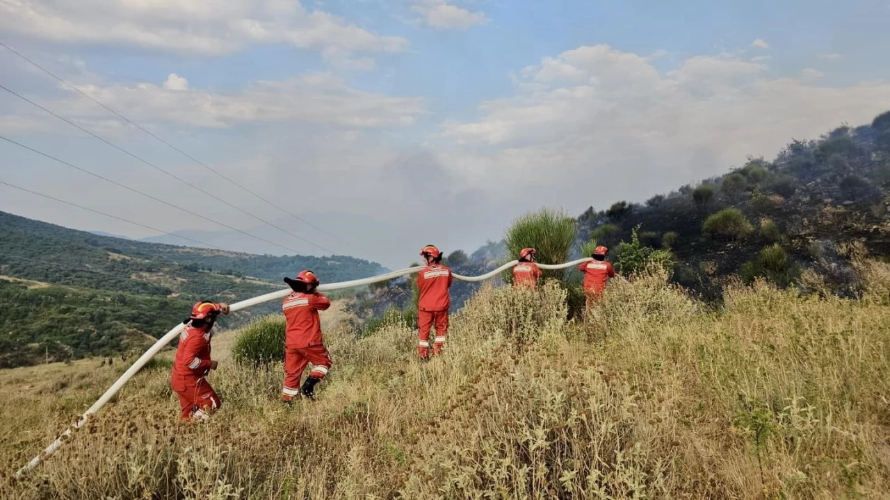 Arnavutluk'un güneyinde orman yangınları