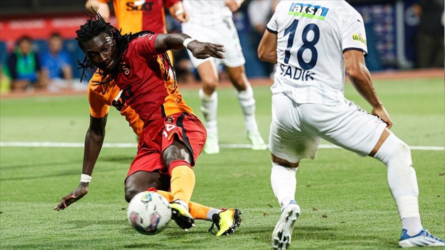 Aslan evinde hata istemiyor