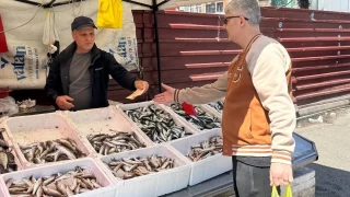 Av sezonu sona ermesine ramen Zonguldak'ta tezgahlar enlendi