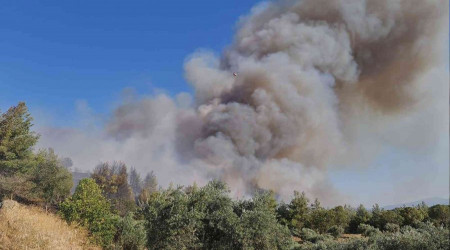 Aydn'da orman yangnna havadan ve karadan mdahale ediliyor