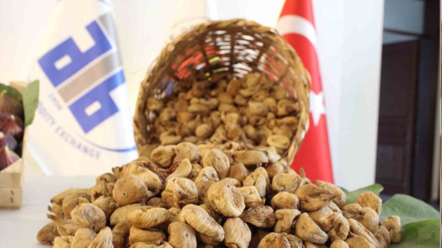 Aydın'da sezonun ilk kuru inciri 350 liradan satıldı