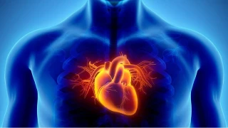 Az Sigara Bile Kalp ��in B�y�k Risk