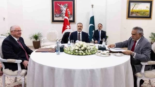 Bakan Fidan, Pakistanl mevkida Dar ile grt