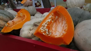 Balkaba Kalp Salna Doal Destek