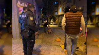 Bandırma'da pitbull, sokak köpeğine saldırdı