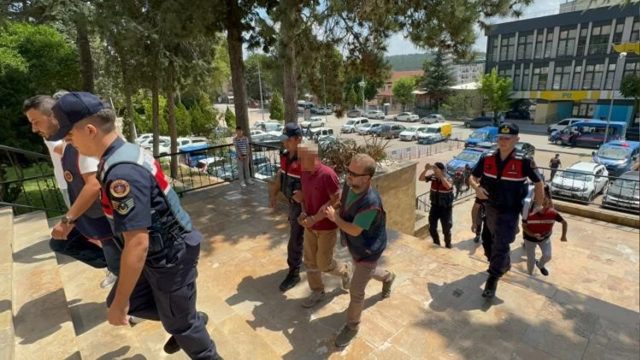 Bilecik'te hayvanları otlatan kadın kemikler çözdü