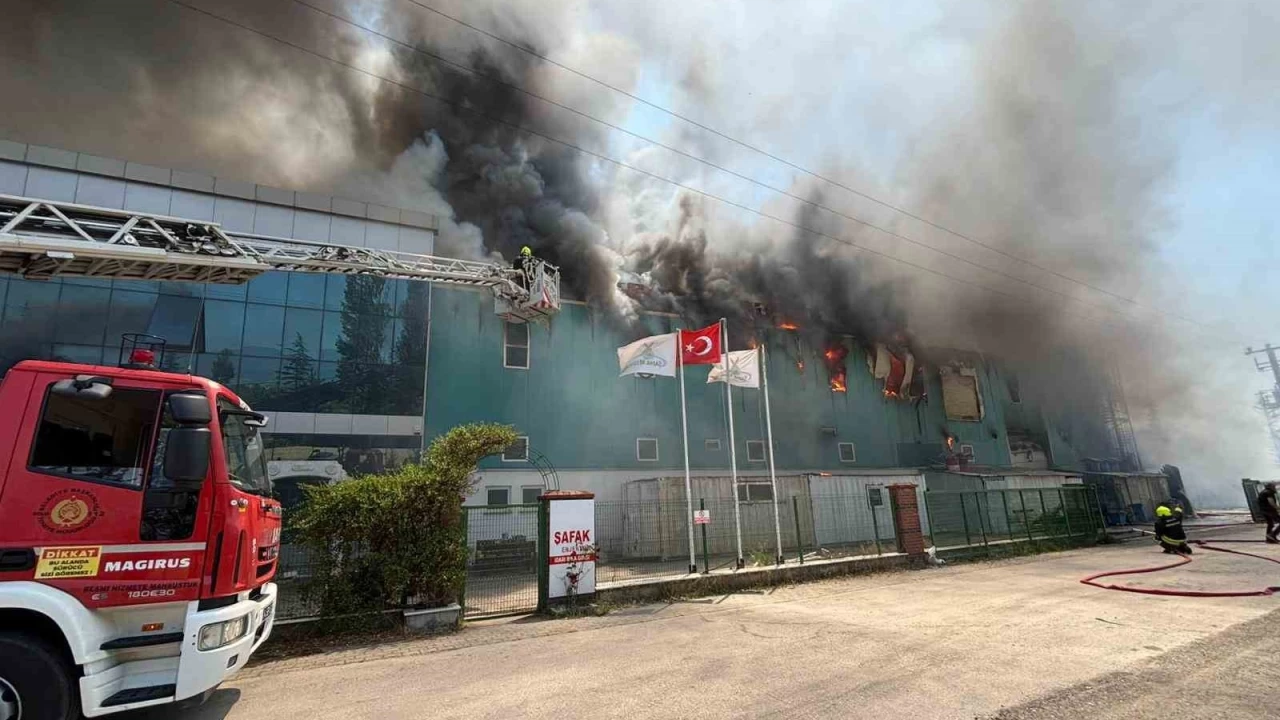 Bolu'da medikal fabrikasında yangın çıktı