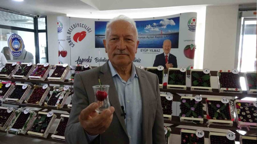 Bu kiraz bardağa sığmıyor