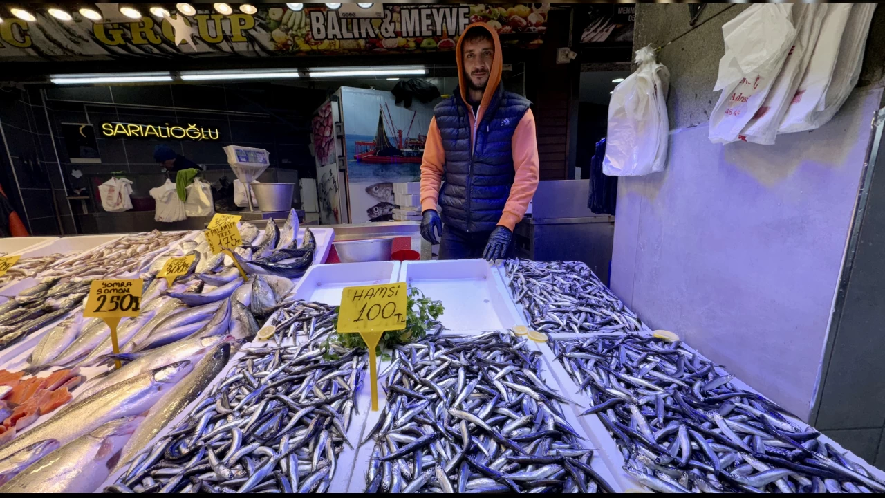 Hamsi fiyatları nasıl gidecek?