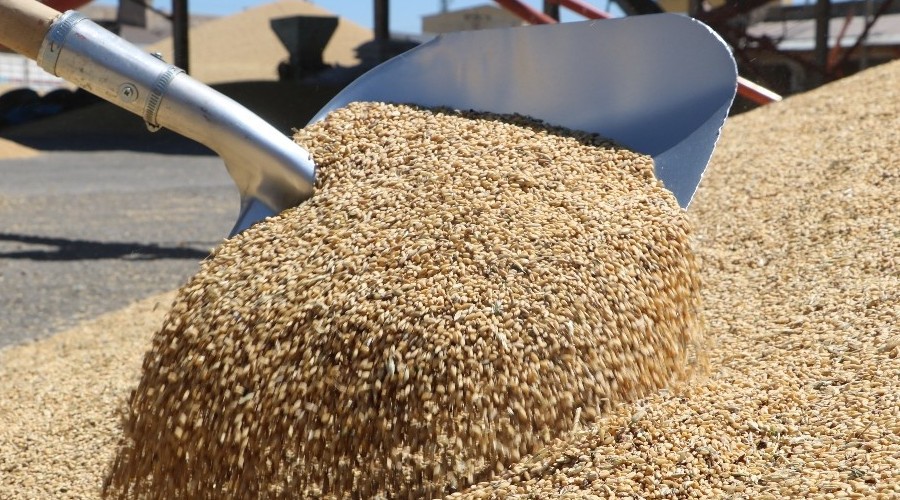 Bu�day al�m fiyatlar�