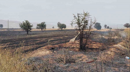 Burdur'da 100 dönümün üzerinde arazi küle döndü