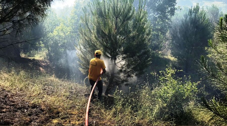 Bursa'da orman yang�n kontrol alt�na al�nd�