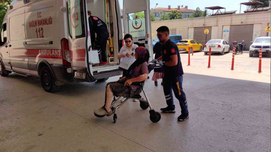 Bursa'da ya�l� kad�na k�pek sald�rd�