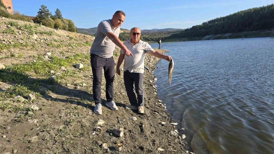 Bursa'n�n i�me suyunu besleyen derede korkutan manzara