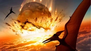 Büyük Yok Oluştan Sonra Kimler Hayatta Kaldı?