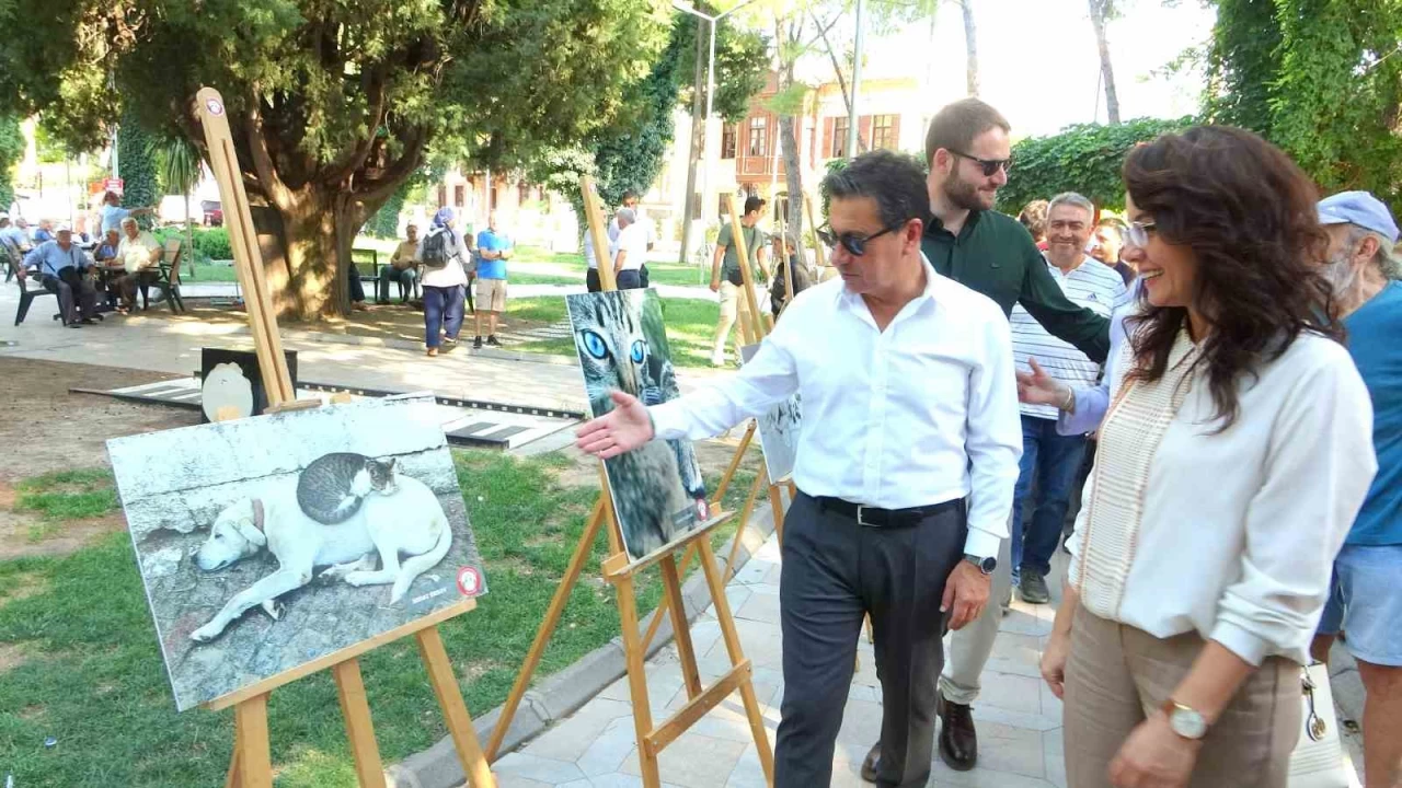 'Can Dostlar Farkındalık' fotoğraf sergisi