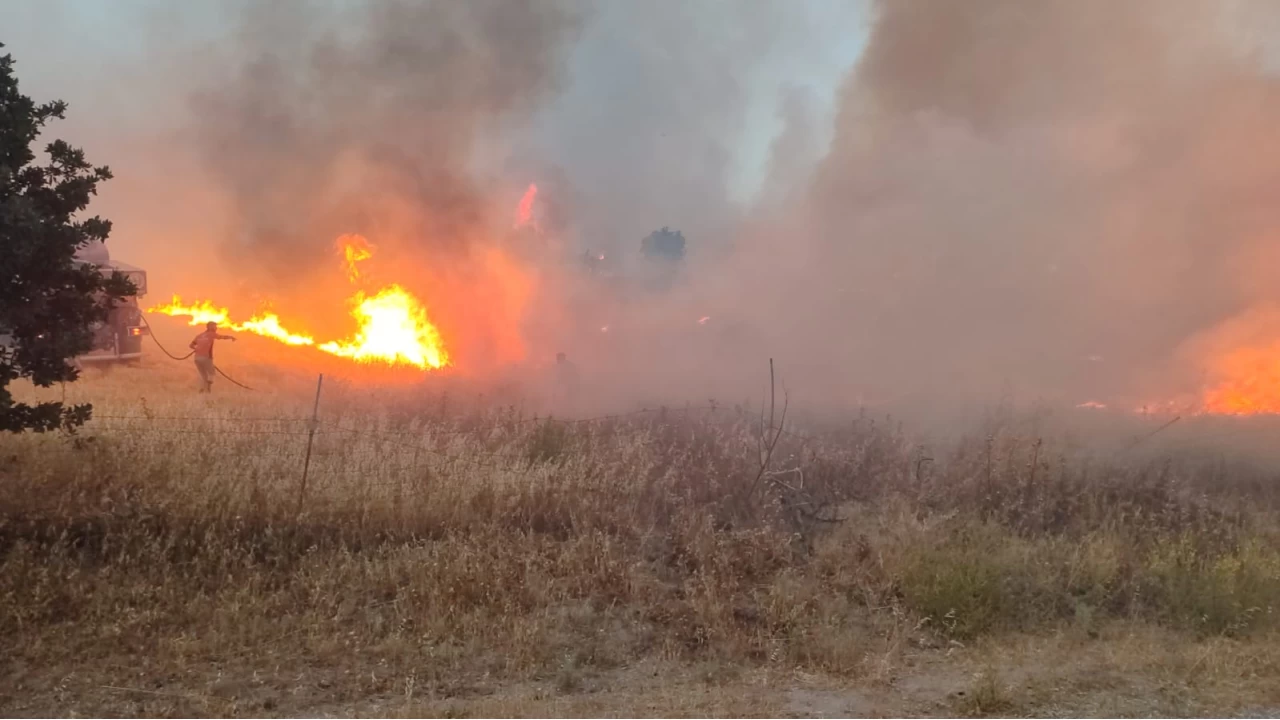 Çanakkale'de tarım arazisinde çıkan yangın kontrol altına alındı
