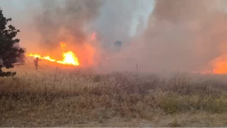 anakkale'de tarm arazisinde kan yangn kontrol altna alnd