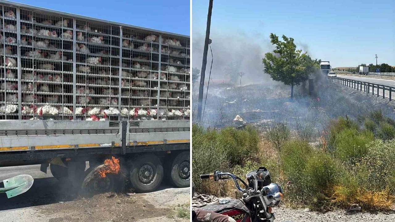 Canlı tavuk dolu tırda yangın paniği