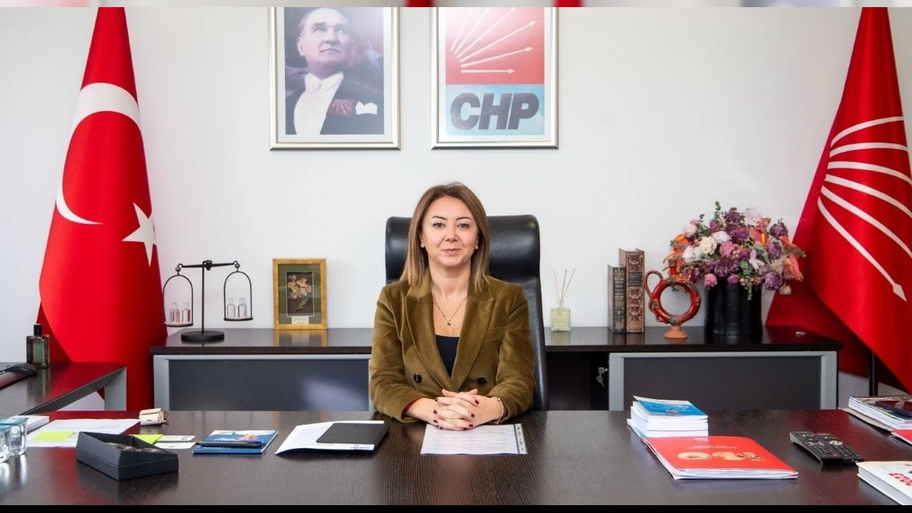 CHP'li Binici'den seçmenlere 'Listeleri kontrol edin' çağrısı