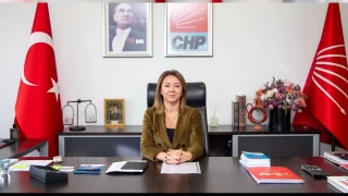 CHP'li Binici'den seçmenlere 'Listeleri kontrol edin' çağrısı