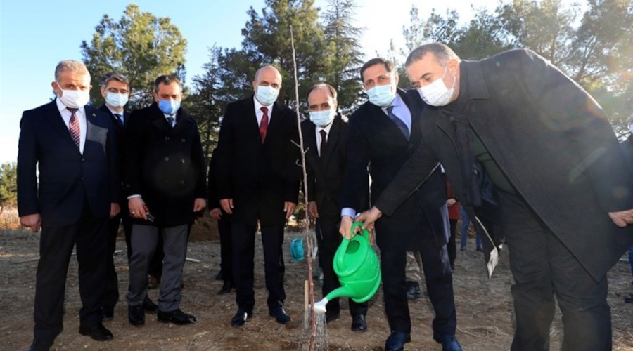 Çiftçilere 'Amasya Misket Elması' fidanı dağıtıldı