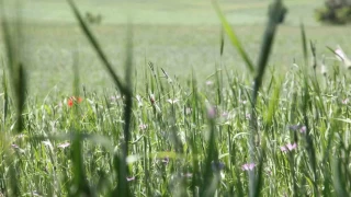 Çiftçilere 'ÇKS ürün güncellemesi' hatırlatması