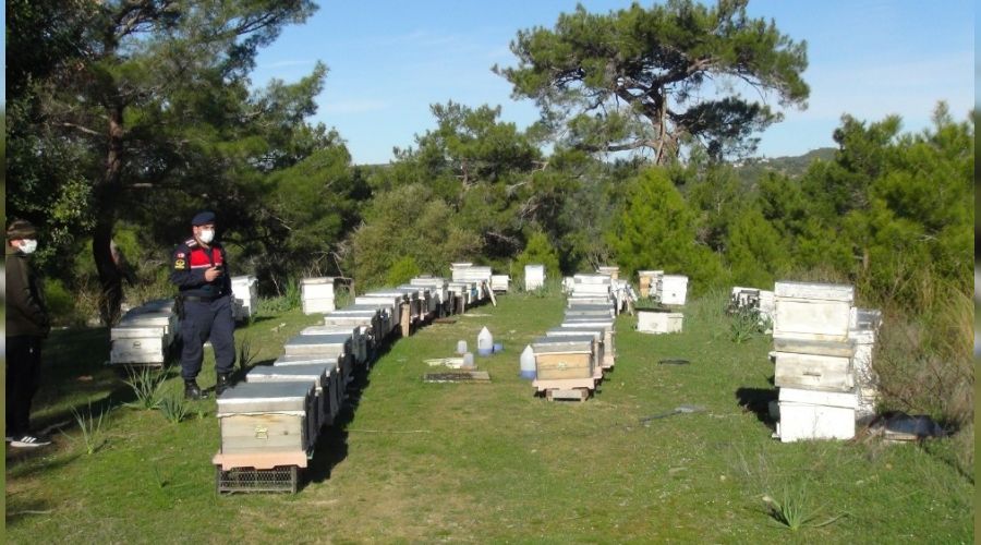 Dedektif gibi iz sren arc, hrszlar Manavgat'ta yakalad