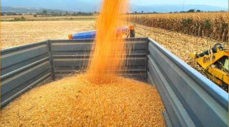 'Demek ki ekilince oluyormuş' diyeceğiniz bir haber