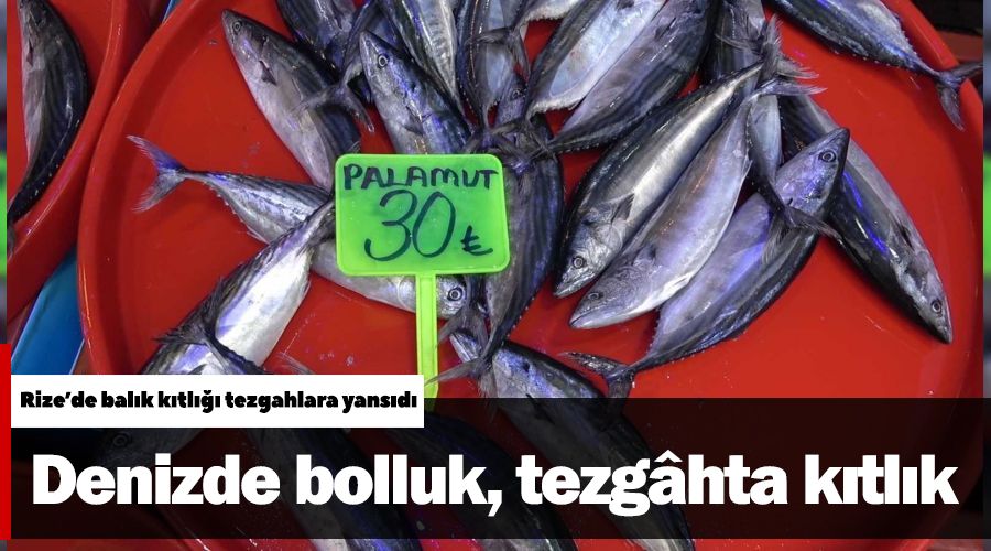 Denizde bolluk, tezgâhta kıtlık