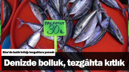 Denizde bolluk, tezgâhta kıtlık