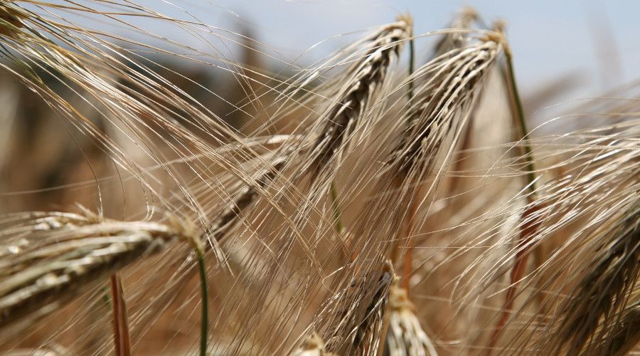 "Depresyonun alt�ndan gl�ten ��kabilir"