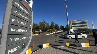 Diyarbakr'da dehet: 2 kardeini ldrp babasn ar yaralad