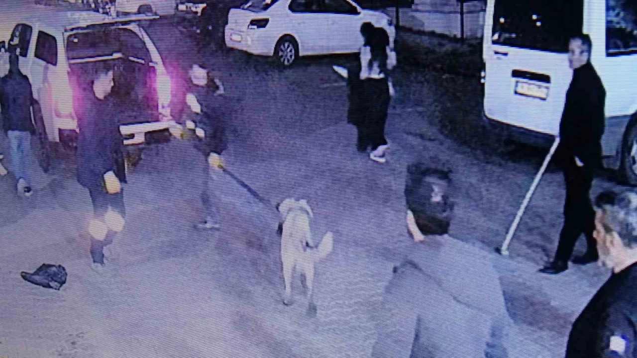 Diyarbakır'da sokak köpeğinin saldırdığı 3 kişi yaralandı